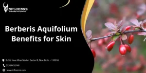 Berberis Aquifolium Benefits for Skin